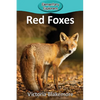 Red Foxes - Paperback