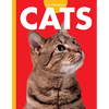 Curious about Cats - Paperback