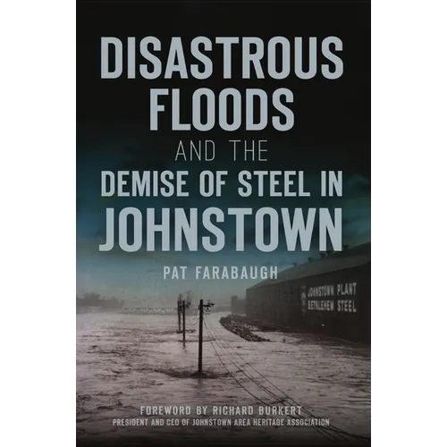 Disastrous Floods and the Demise of Steel in Johnstown - Paperback