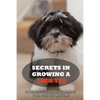 Secrets In Growing A Shih Tzu: Caring, Feeding And Training Your Shih Tzu At Home: Tips For Shih Tzu Owners - Paperback