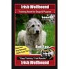 Irish Wolfhound Training Book for Dogs & Puppies By BoneUP DOG Training Dog Care, Dog Behavior, Hand Cues Too! Are You Ready to Bone Up? Easy Training - Paperback