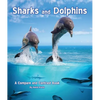 Sharks and Dolphins: A Compare and Contrast Book - Paperback