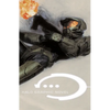 Halo Graphic Novel (New Edition) - Paperback