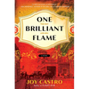 One Brilliant Flame - Paperback