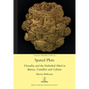 Spatial Plots: Virtuality and the Embodied Mind in Baricco, Camilleri and Calvino - Paperback