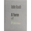Adèle Naudé: A Form of Practice - Hardcover