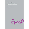 Understanding Phenomenology - Paperback