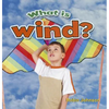 What Is Wind? - Paperback