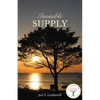 Invisible Supply - Paperback
