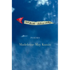 Red Kite, Blue Sky - Paperback