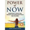 Power of Now: Mindfulness, Living in the moment and creating the future that you want - Paperback