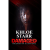 Damaged: The Diary of a Lost Soul - Paperback
