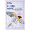 How Birds Work: An Illustrated Guide to the Wonders of Form and Function - From Bones to Beak - Paperback