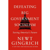 Defeating Big Government Socialism - Paperback
