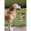 Structure of the Dog: Basic Course - Paperback