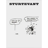 Sturtevant: Drawing Double Reversal - Hardcover