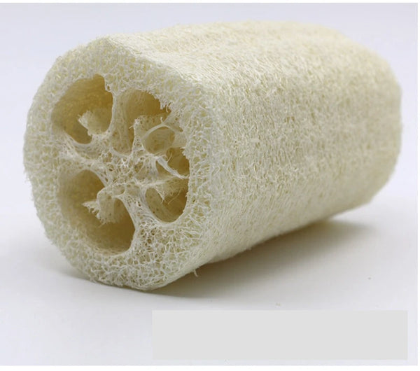 10pcs/Lot 10CM Length Natural Loofah