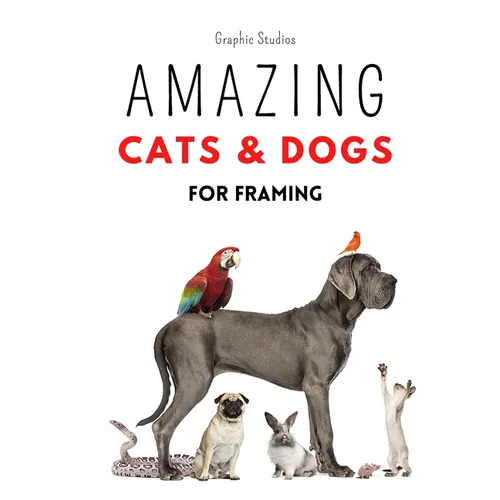 Amazing Cats and Dogs for Framing: Amazing pet photos, funny dogs and cats to frame - Paperback