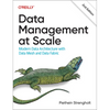 Data Management at Scale: Modern Data Architecture with Data Mesh and Data Fabric - Paperback