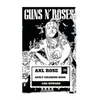 Axl Rose Adult Coloring Book: Guns'n'roses Lead Singer and Hard Rock Icon, AC/DC Vocalist and Talented Rebel Inspired Adult Coloring Book - Paperback