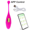 Wireless Remote Vibrator