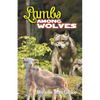 Lambs Among Wolves - Paperback