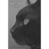 The Black Cat and The Tell-Tale Heart - Paperback
