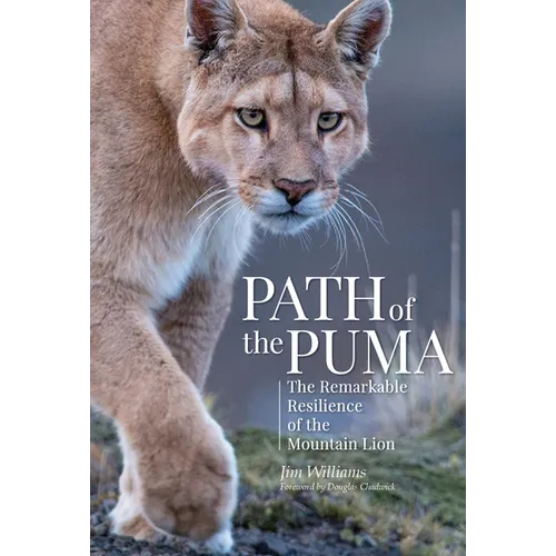 Path of the Puma: The Remarkable Resilience of the Mountain Lion - Hardcover