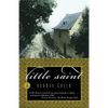 Little Saint - Paperback