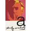 A: A Novel - Paperback