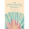 The Phenomenology of Sex, Love, and Intimacy - Paperback