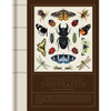 Insectile Inspiration: Insects in Art and Illustration - Hardcover