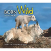 Born Wild in Colorado - Paperback