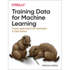 Training Data for Machine Learning: Human Supervision from Annotation to Data Science - Paperback