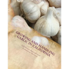 Growing and Handling Garlic in California: Circular 84 - Paperback