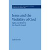 Jesus and the Visibility of God - Hardcover