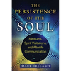 The Persistence of the Soul: Mediums, Spirit Visitations, and Afterlife Communication - Paperback