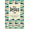 What Jesus Does: 31 Devotions about Jesus and the Church - Hardcover