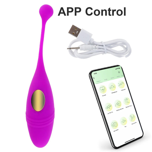 Wireless Remote Vibrator