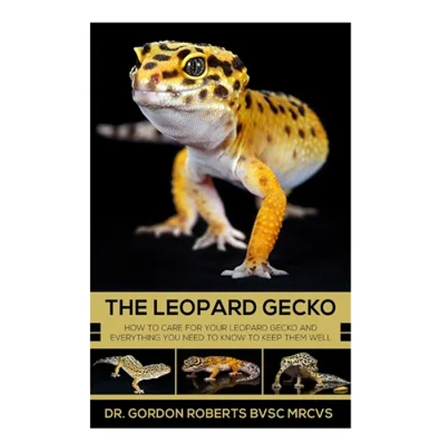 The Leopard Gecko: How to care for your Leopard Gecko and everything you need to know to keep them well. - Paperback
