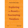Exploring the Beauty of Fascinating Numbers - Paperback