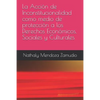 La Acción de Inconstitucionalidad Como Medio de Protección a Los Derechos Económicos, Sociales Y Culturales - Paperback