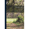 Pinellas: a Brief History of the Lower Point - Paperback