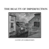 The Beauty of Imperfection - Paperback