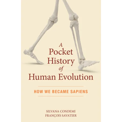 A Pocket History of Human Evolution: How We Became Sapiens - Paperback