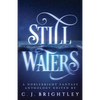 Still Waters: A Noblebright Fantasy Anthology - Paperback