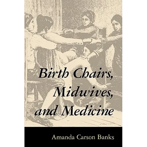 Birth Chairs, Midwives, and Medicine - Paperback