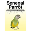 Senegal Parrot. Senegal Parrots as pets. Senegal Parrots Essential Owners Guide. - Paperback
