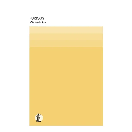 Furious - Paperback