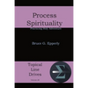Process Spirituality: Practicing Holy Adventure - Paperback